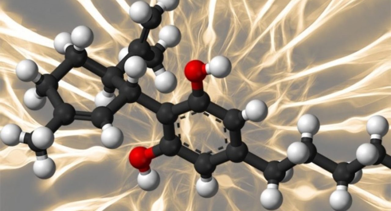 Did you get your shots?