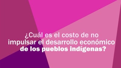 What is the cost of not promoting the economic development of indigenous peoples?