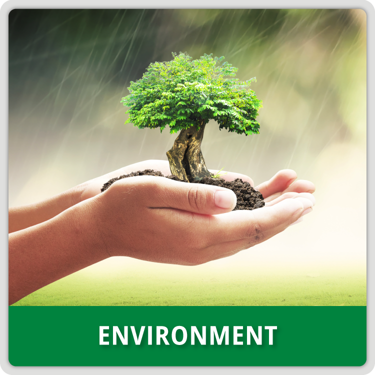 Diversity - Environment