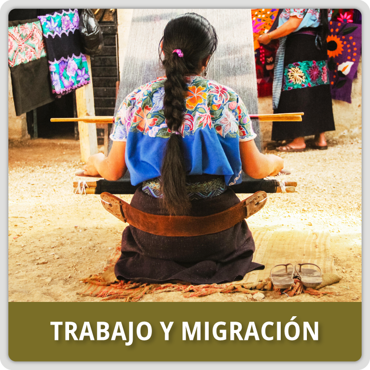 Diversidad - Trabajo y Migración