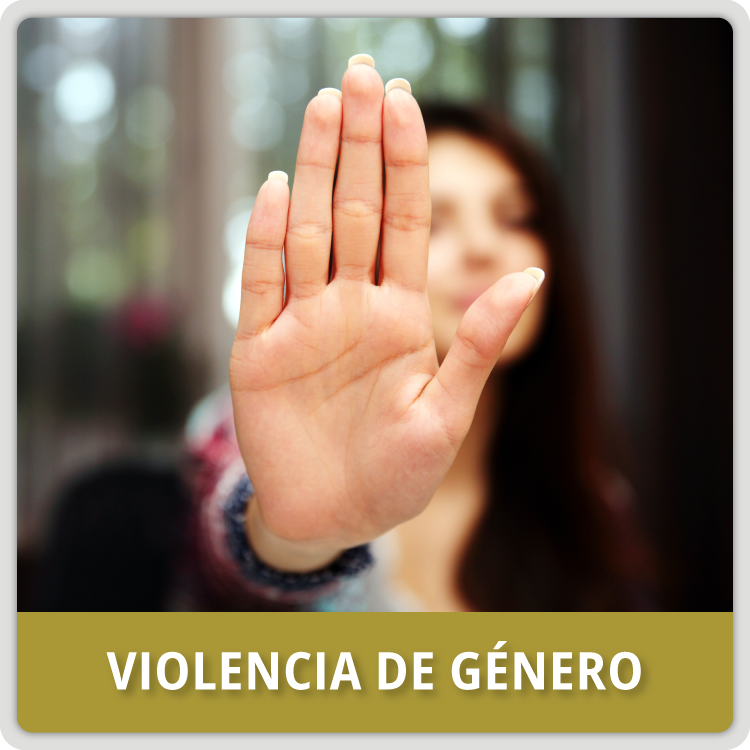 Género - Violencia de Género